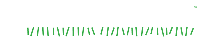 PlaygroundGrass